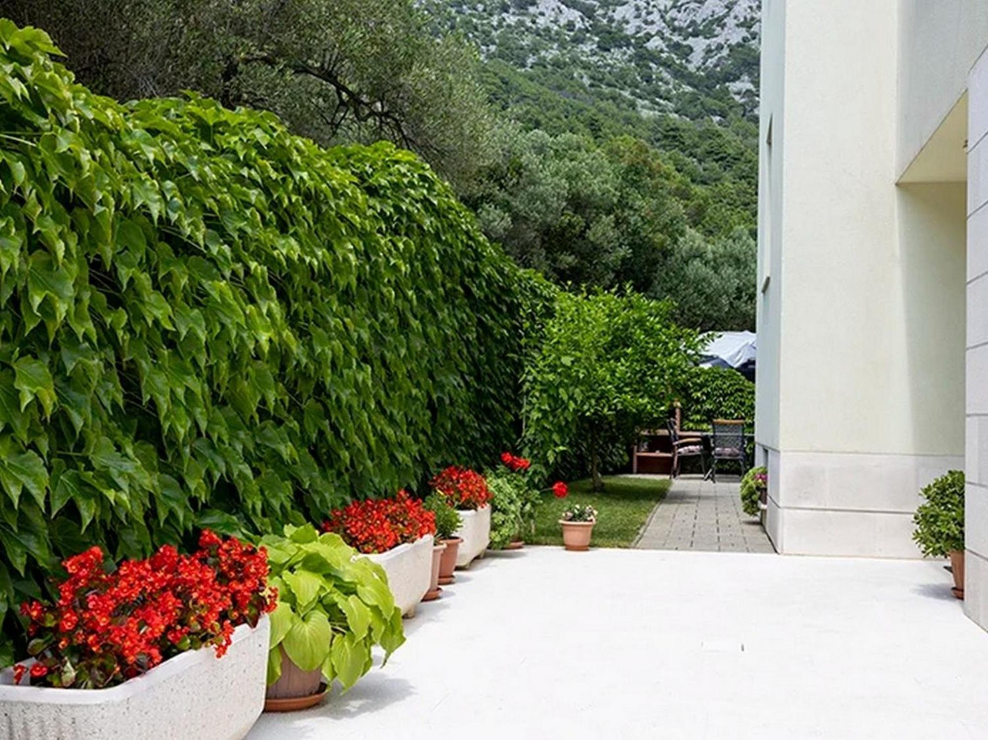 Apartments By The Sea Igrane, Makarska - 17292 المظهر الخارجي الصورة